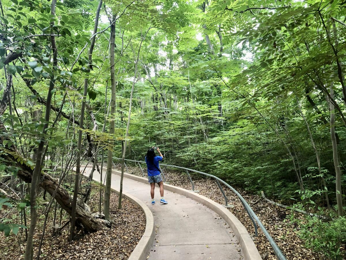 An accessible trail in Long Beach's El Dorado Nature Center.