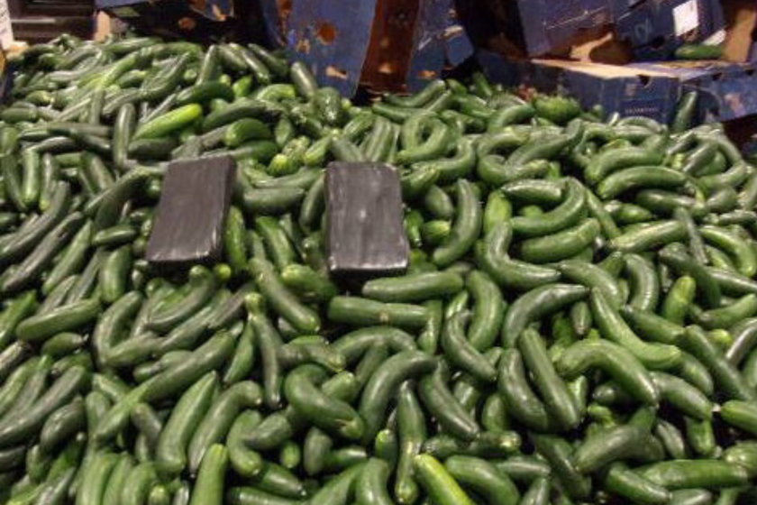 Customs and Border Protection officers found 146 packages of cocaine hidden among a load of cucumbers inside a big rig at the U.S.-Mexico border crossing in Otay Mesa on Sept. 15.
