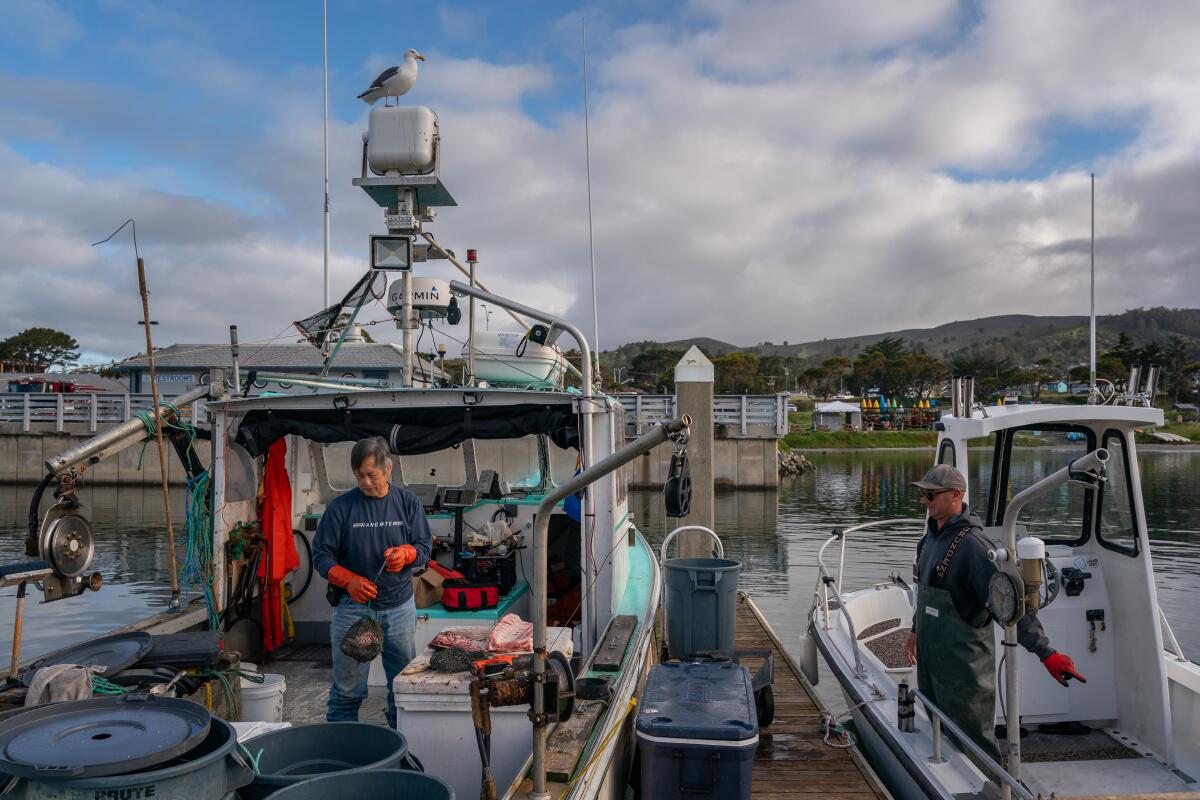 Salmon are struggling — and the fishing fleet is too - Los Angeles