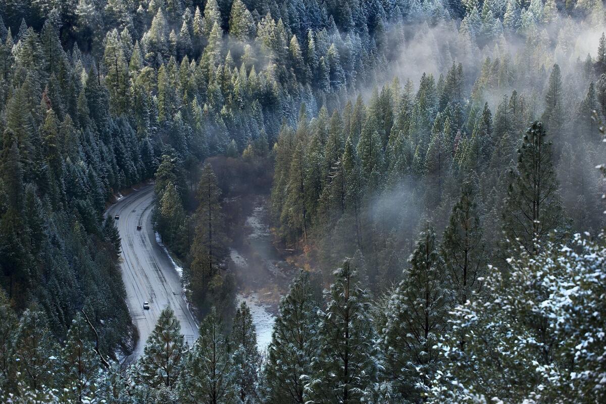 A light dusting of snow evaporates from the treetops as the sun emerges along U.S. 50 near Icehouse Road in El Dorado County east of Sacramento on Wednesday.
