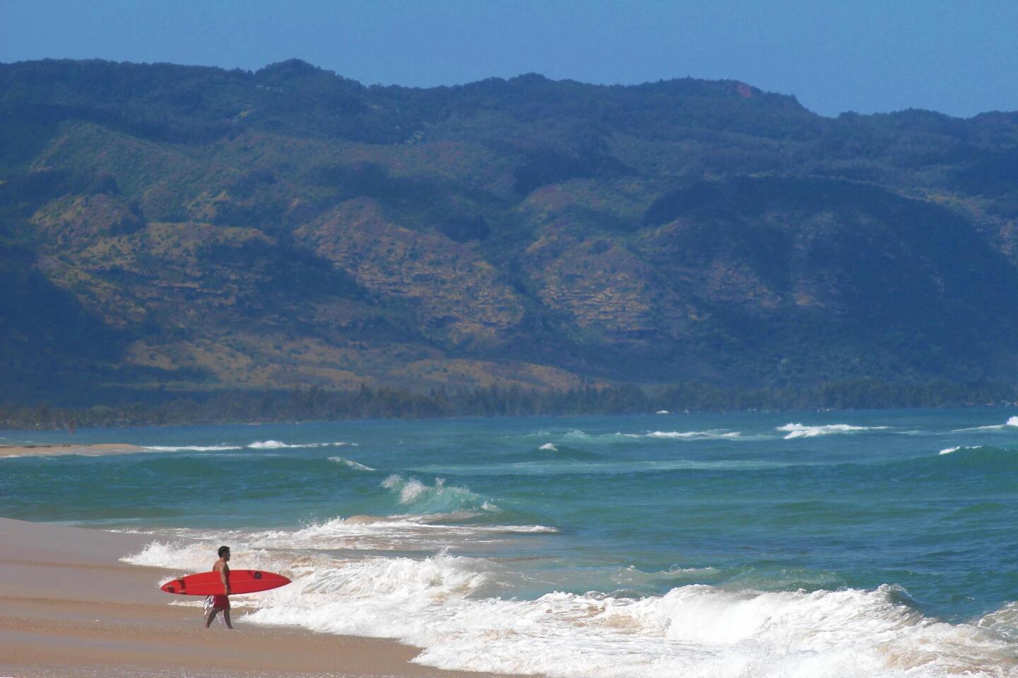 A surfer on dramatic Laniakea Beach sizes up the waves before paddling in. The North Shore beach, also called Turtle Beach, is home to nesting green sea turtles.