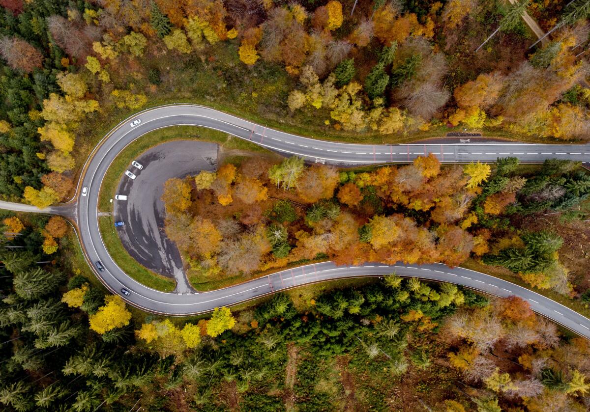 Aerial view of road winding through forest