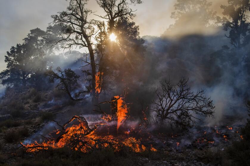 LLANO, CA - SEPTEMBER 20: The Bobcat fire continues to burn in the Angeles National Forest Sunday, Sept. 20, 2020 near Llano, CA. Some houses and structures were lost in the Bobcat fire but most were saved. (Allen J. Schaben / Los Angeles Times)