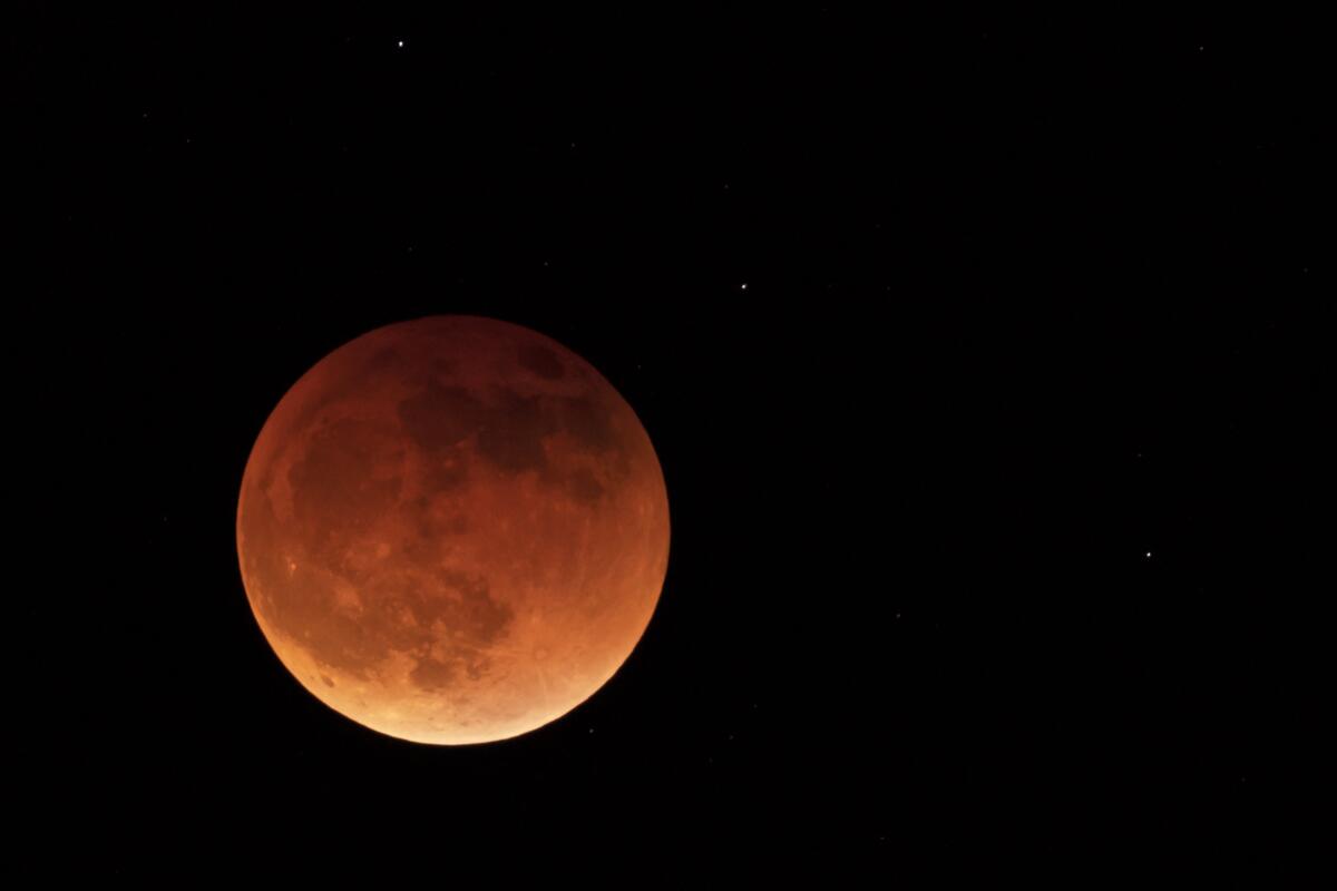 The moon is shown in orangish-red during a full lunar eclipse