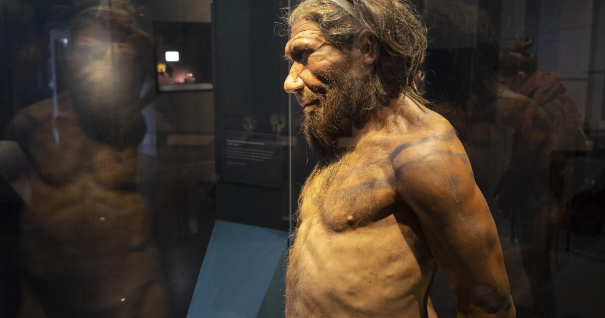 Opinion: Why would anyone want a paleo diet? We’re desperate for half-truths about human origins
