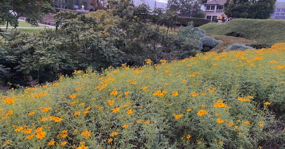Mailbag: Please treat Newport Heights' charm carefully