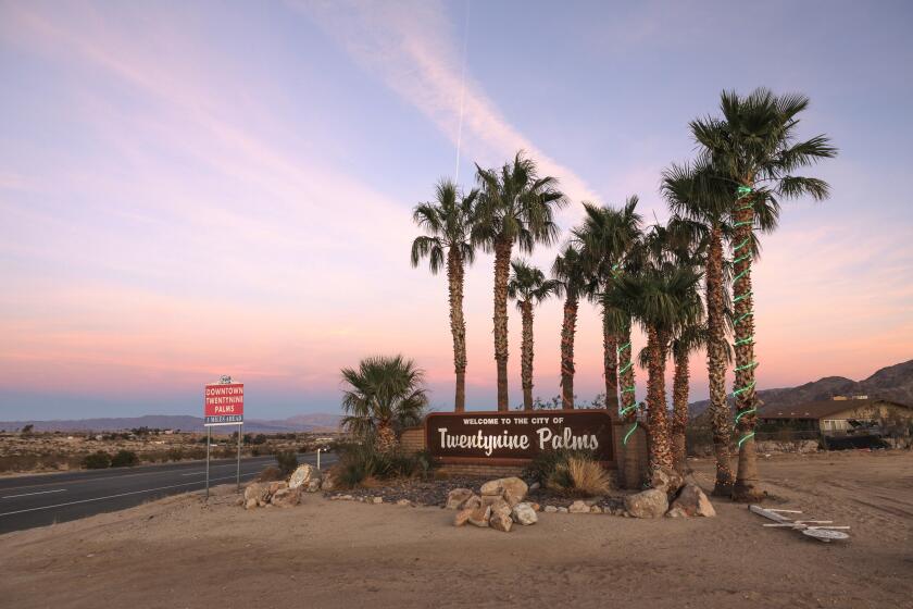 The Welcome to Twentynine Palms sign sits among palm trees at dusk.