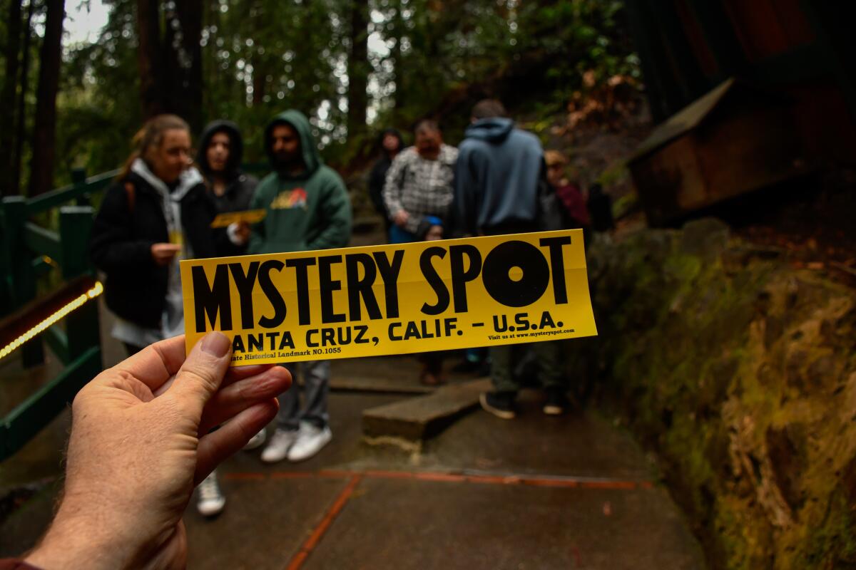 The Mystery Spot in Santa Cruz, is a roadside forest attraction .