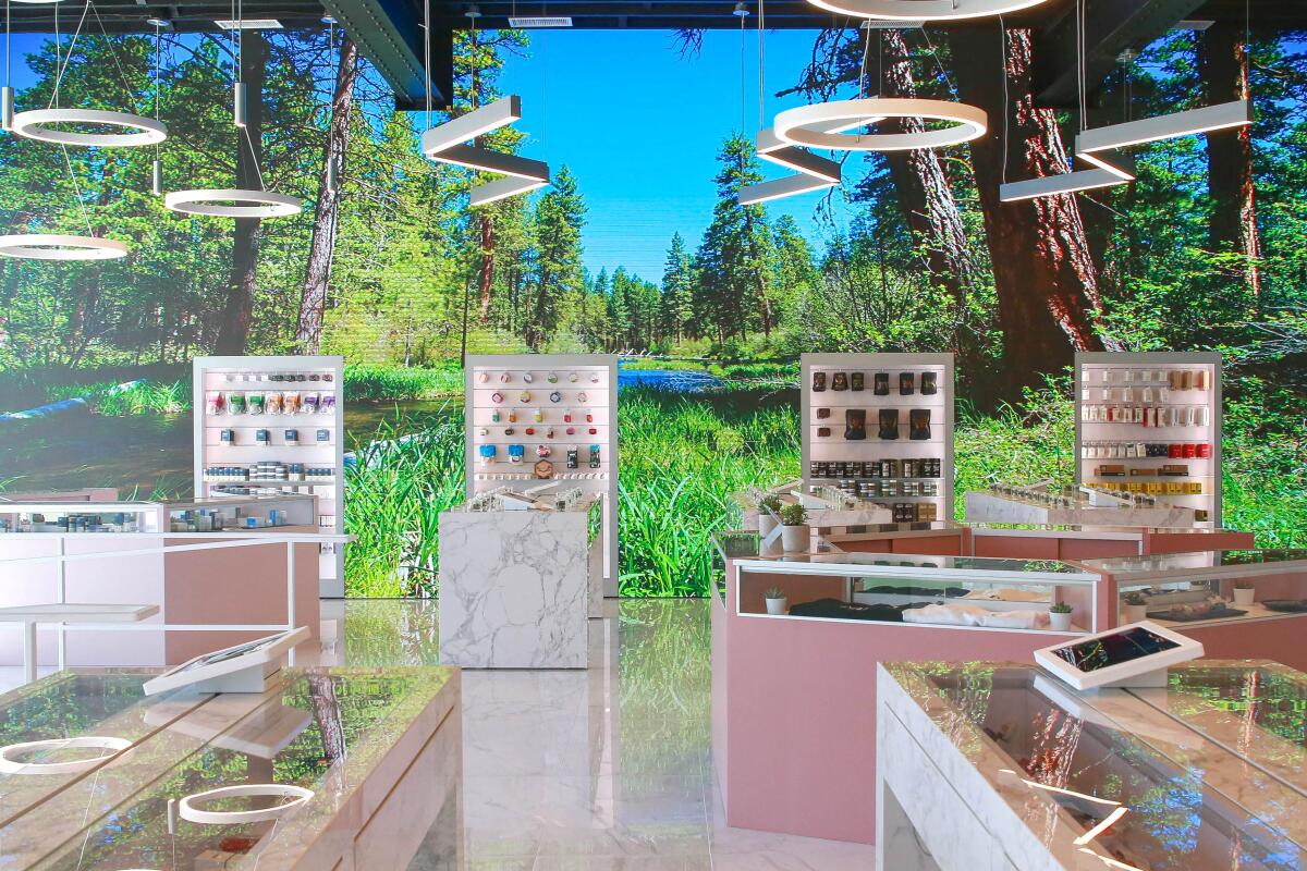 A dispensary interior that includes a video wall depicting a forest