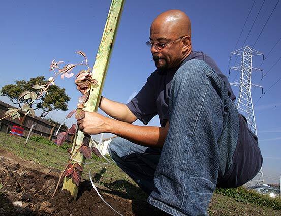 Week in Focus: Helping the city bloom