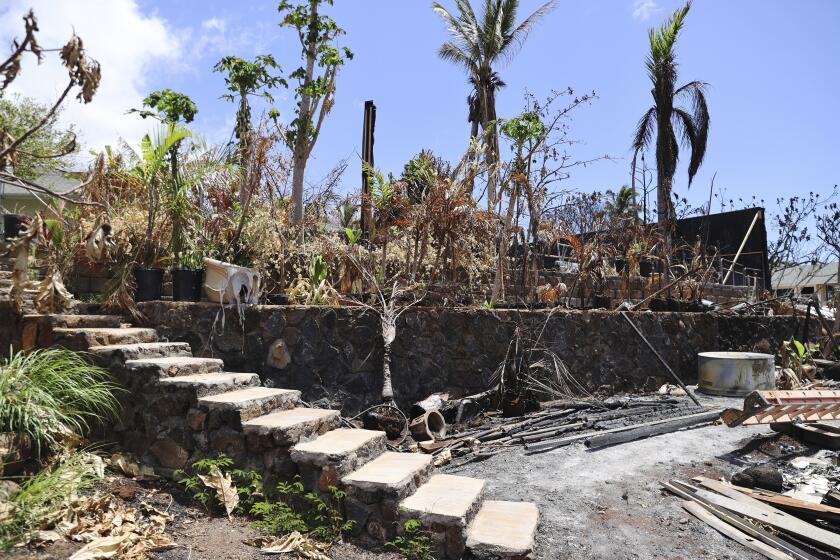 The ruins of a home destroyed by a deadly August wildfire lay outside the boundary of a Hawaiian homestead community in Lahaina, Hawaii, on Friday, Sept. 1, 2023. The Villages of Leiali'I, a Native Hawaiian neighborhood, lost only two out of 104 houses, even though many homes were destroyed in other parts of Lahaina. (AP Photo/Marco Garcia)