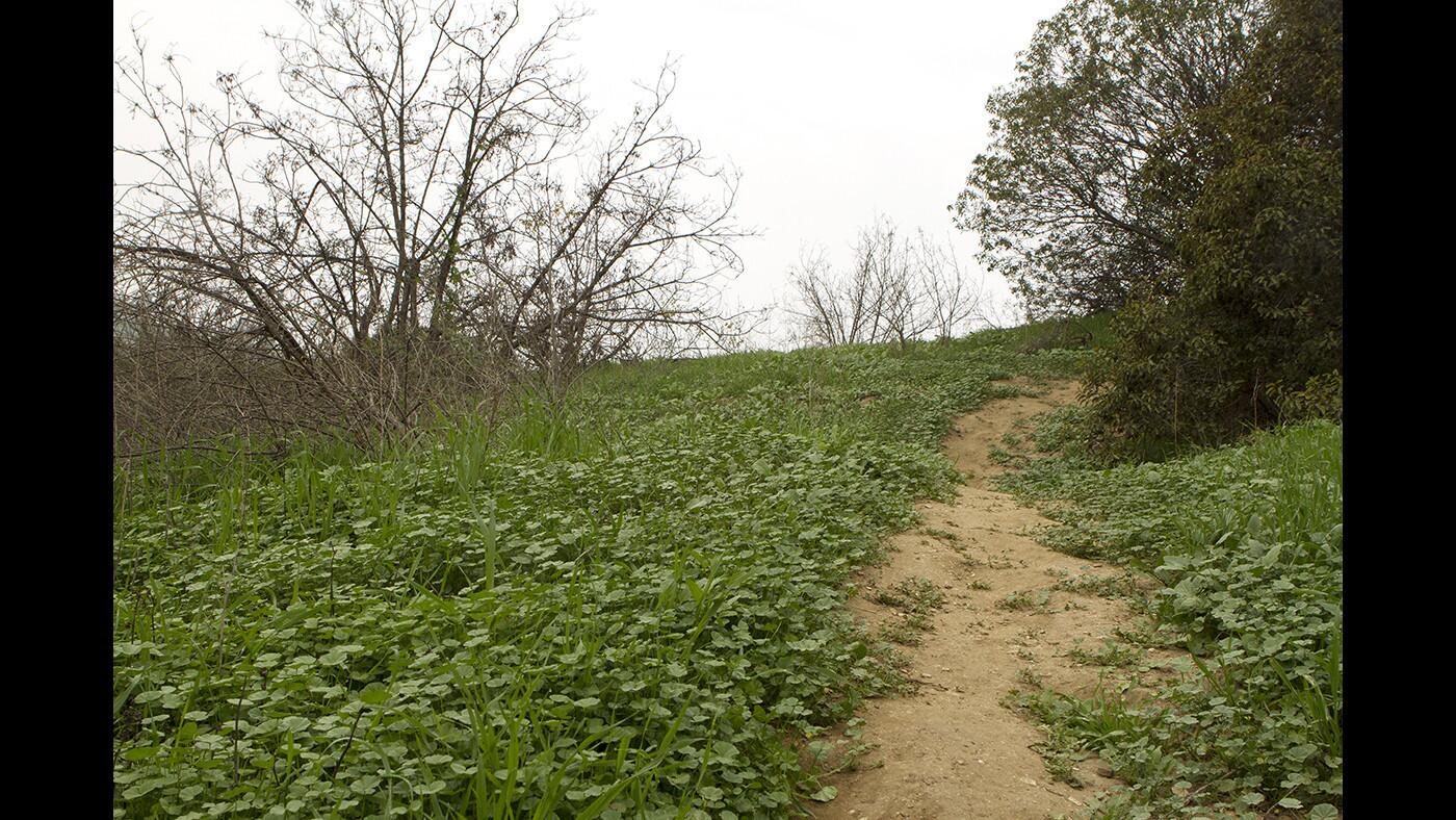 Elyria Canyon Park