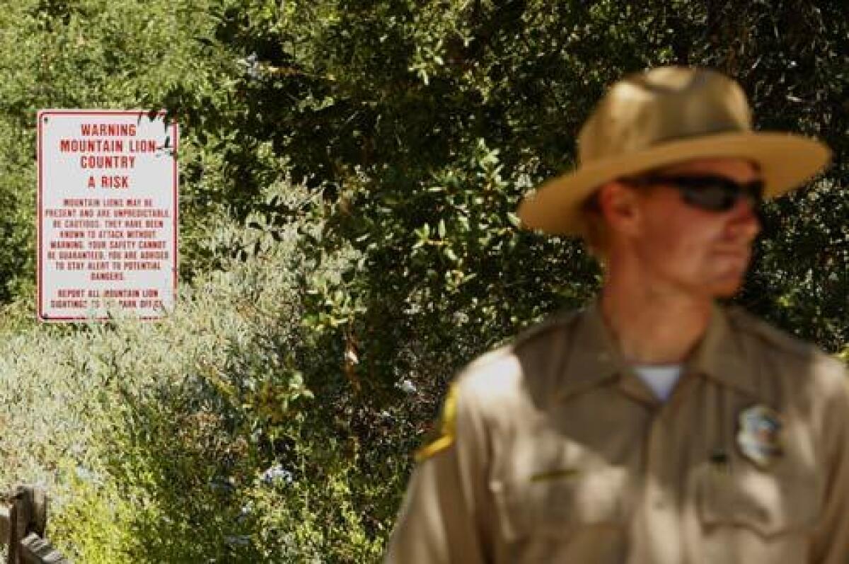 Park Ranger John Gump stands near the entrance to Whiting Ranch in Foothill Ranch where a hiker said he was scratched on the arm by a mountain lion.