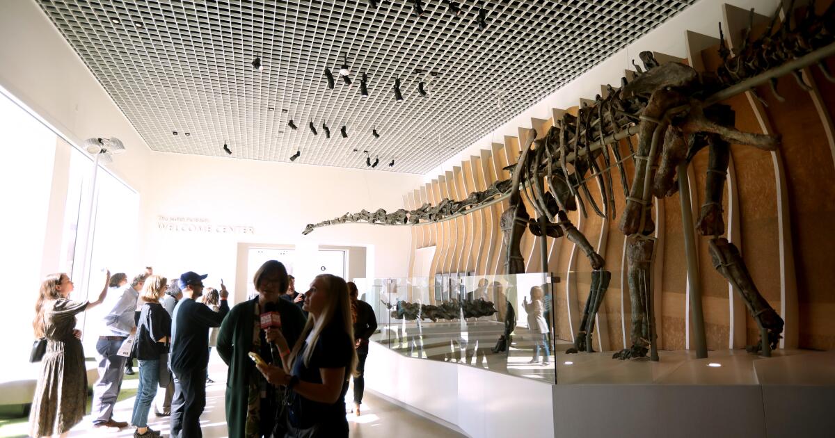 Bir LA Times muhabirinin dinozor Gnatalie hakkındaki profiline övgü