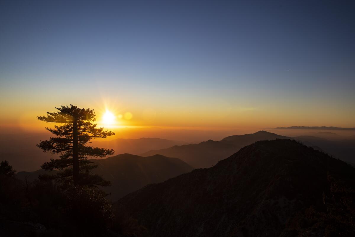 ANGELES NATIONAL FOREST, CALIF. -- THURSDAY, FEBRUARY 6, 2020: The sun sets in a view west from atop Mt. Disappointment in the San Gabriel Mountains in the Angeles National Forest, Calif., on Feb. 6, 2020. A group of surveyors climbed the peak in 1875 thinking it was the highest in the area, but when they reached the top they realized that the next peak over (now known as San Gabriel Peak) was even higher. (Brian van der Brug / Los Angeles Times)