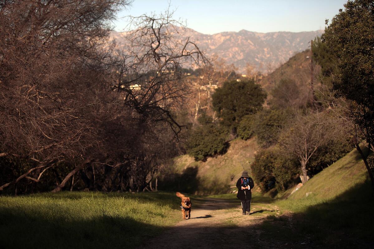 Maria Hernandez walks her dog Linky into Ernest E. Debs Regional Park.