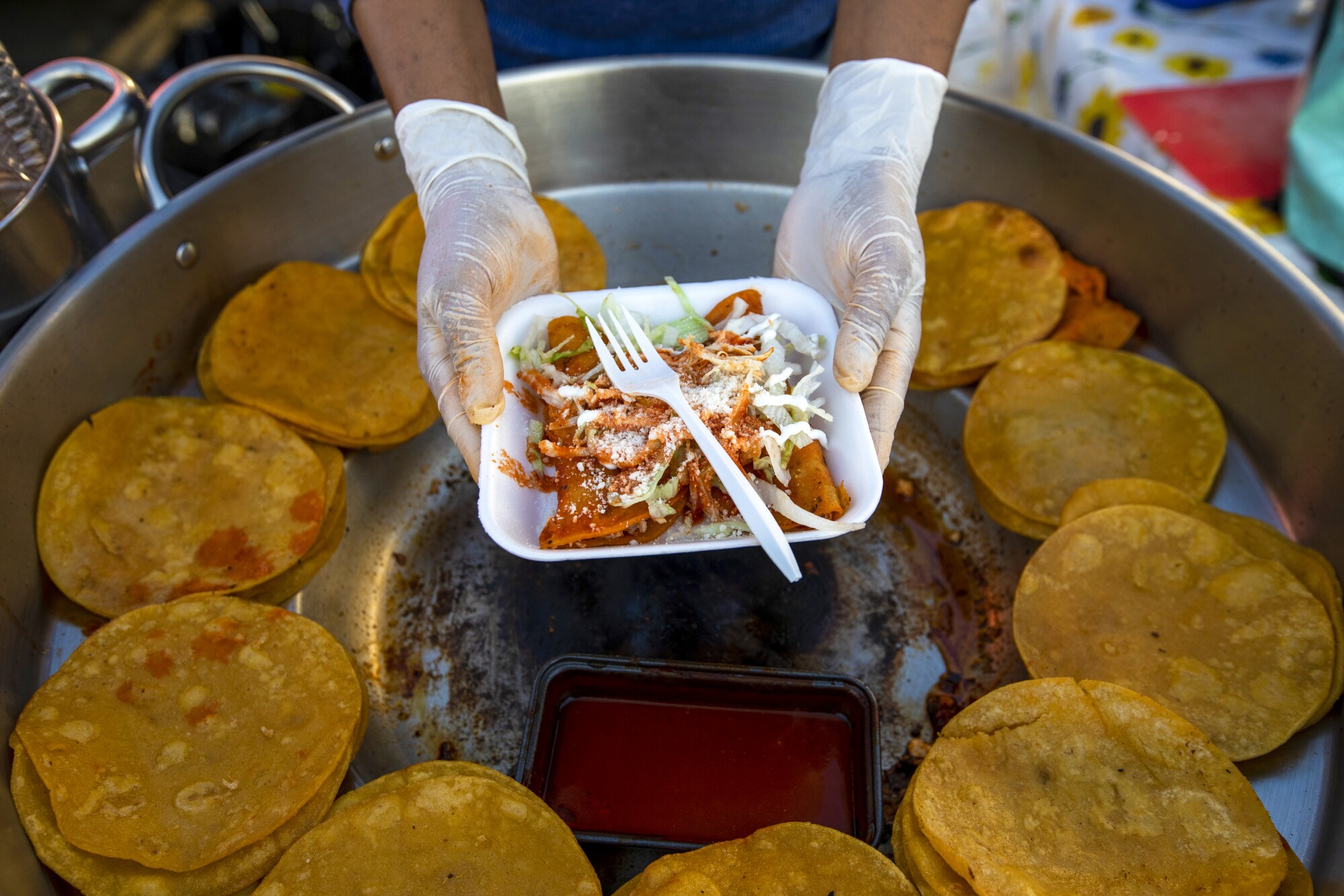 A pair of hands holds a plate of enchiladas