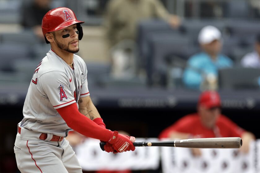 Los Angeles Angels' Andrew Velazquez at bat during the second inning of the first baseball game of a doubleheader against the New York Yankees on Thursday, June 2, 2022, in New York. (AP Photo/Adam Hunger)