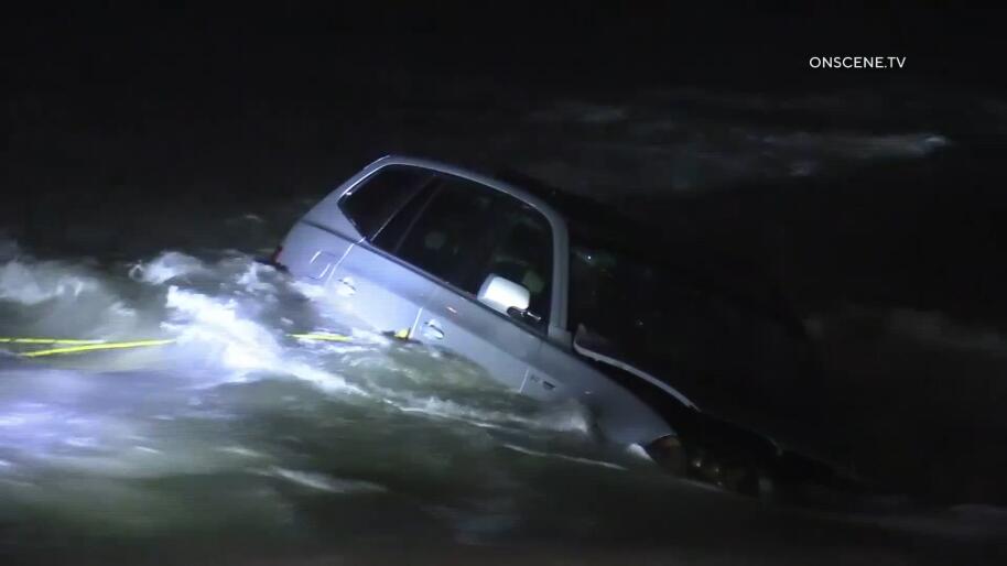 Woman fleeing CHP drives into ocean in L.A.; Boston terriers rescued