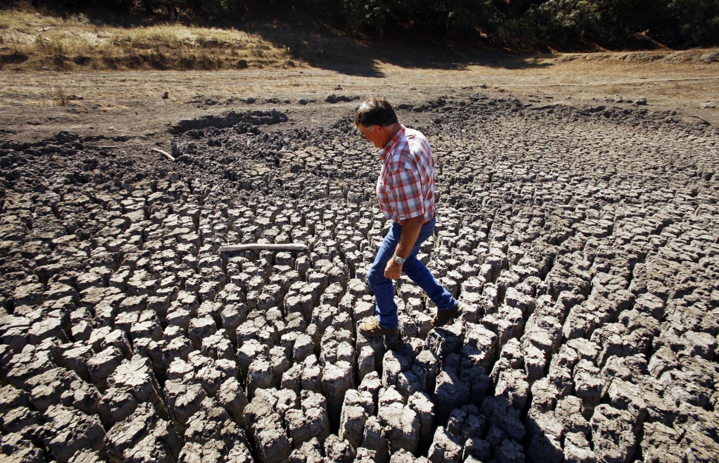 Jon Pedotti walks on the cracked bottom of a dry lake bed on his ranch in October.