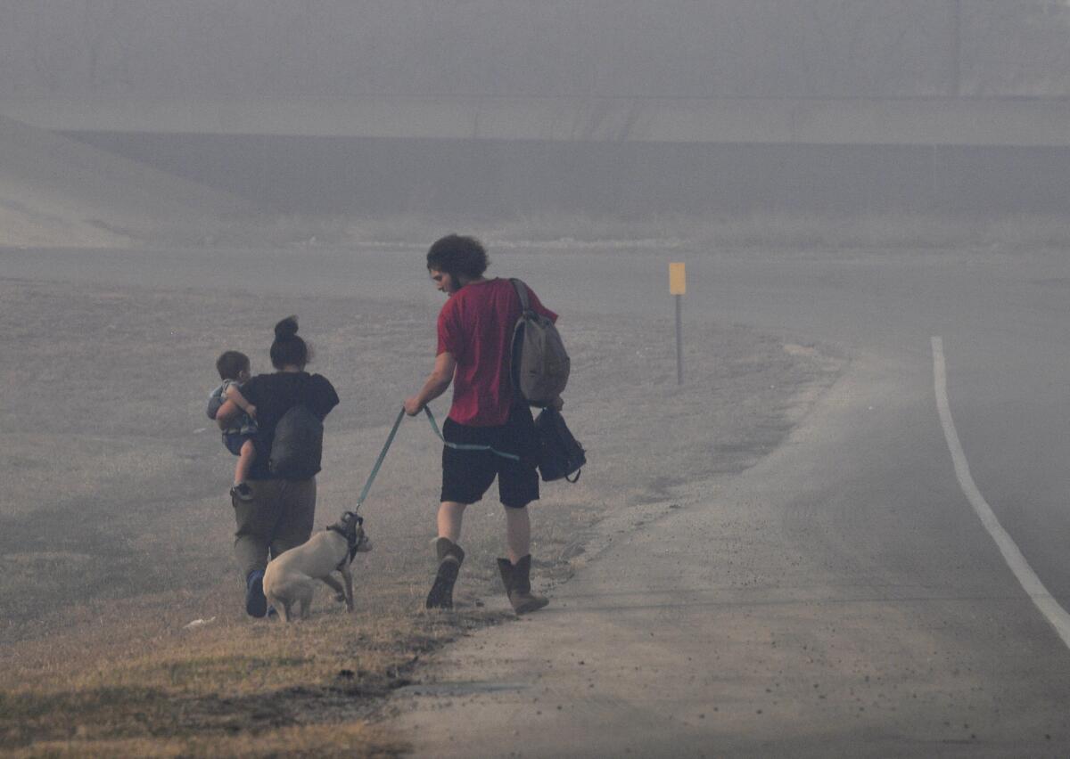 A family walks alongside a smoky road, carrying a baby and leading a dog.