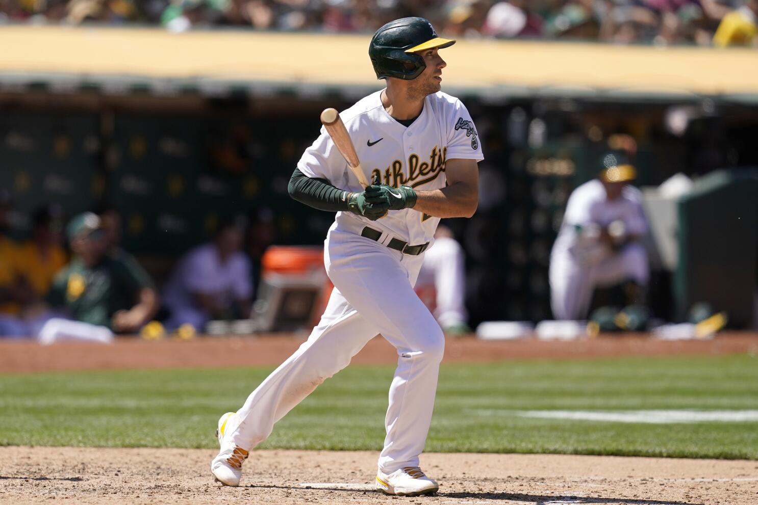 Oakland A's Player Profile: Matt Olson - Athletics Nation