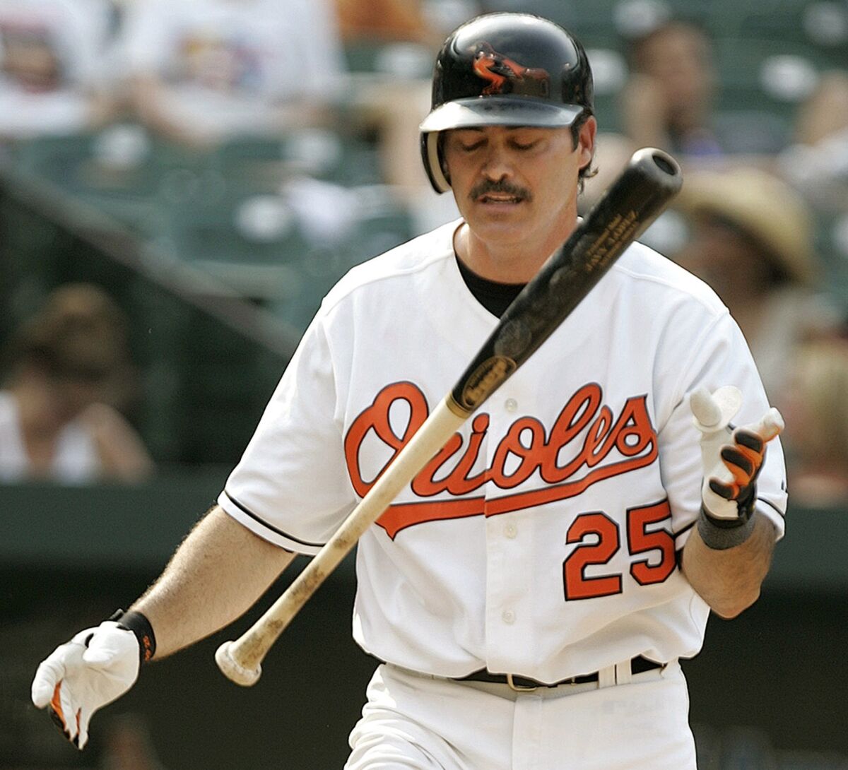 Rafael Palmeiro was named on just 8.8% of the 569 Hall of Fame ballots cast, despite being only the fourth player in Major League Baseball history with 500 or more home runs and 3,000 or more hits in his career.