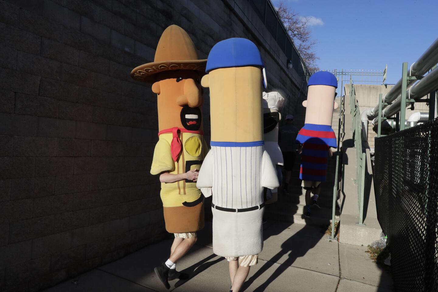 Chorizo Sausage glances at a follower as the rest of the famous racing sausages head to the main level of Miller Park before Game 7.