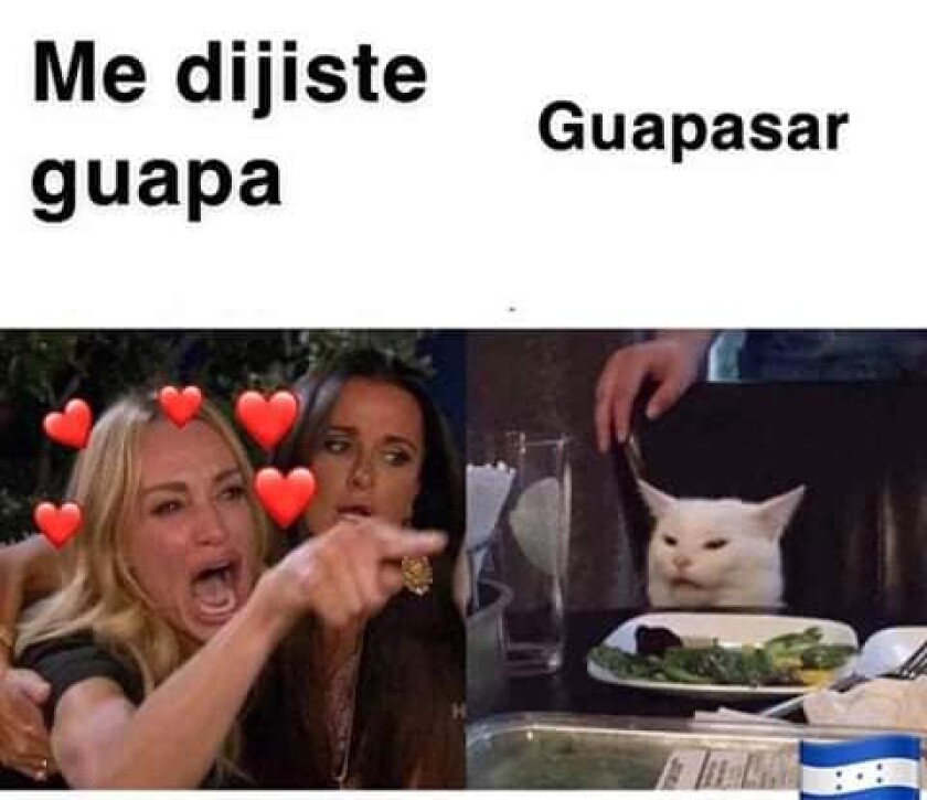 Este Es El Origen De Los Memes Del Gato Los Angeles Times