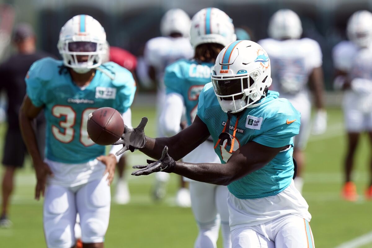 Miami Dolphins cornerback Trill Williams (6) grabs a pass during drills at the NFL football team's practice facility, Tuesday, Aug. 2, 2022, in Miami Gardens, Fla. (AP Photo/Marta Lavandier)
