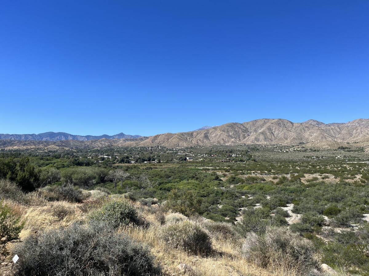 The town of Morongo Valley is visible from Big Morongo Canyon Preserve.