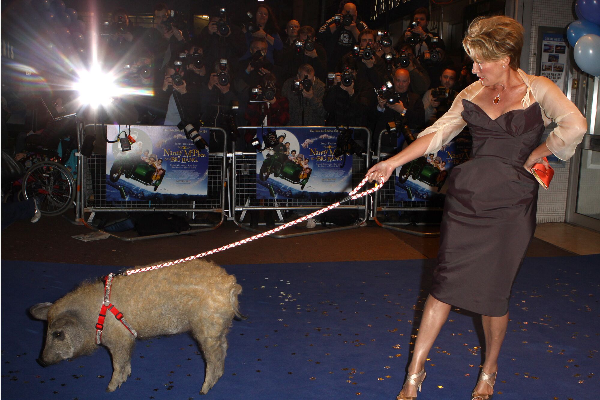 Une femme en robe colonne tient en laisse un cochon.