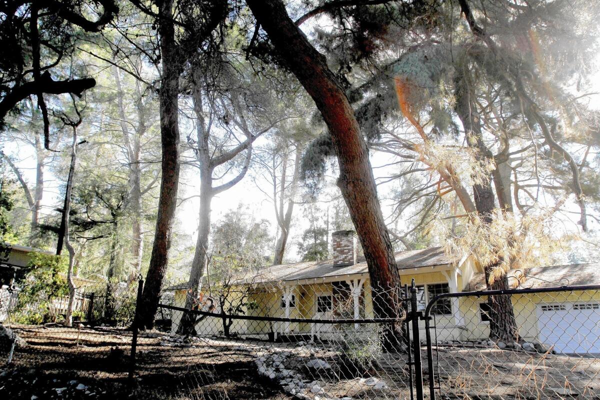 According to neighbors, the trees on this property on La Forest Dr. just south of Los Amigos will be cut down by the property owner, in La Cañada Flintridge on Wednesday, April 2, 2014.