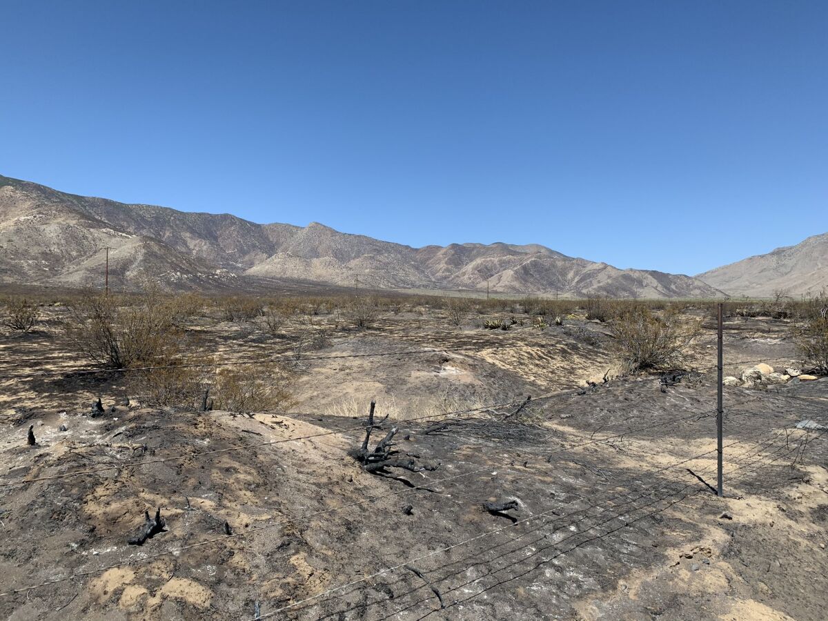 The Southern Fire, which scorched nearly 5,200 acres in Anza-Borrego Desert State Park, was 55 percent contained Monday.