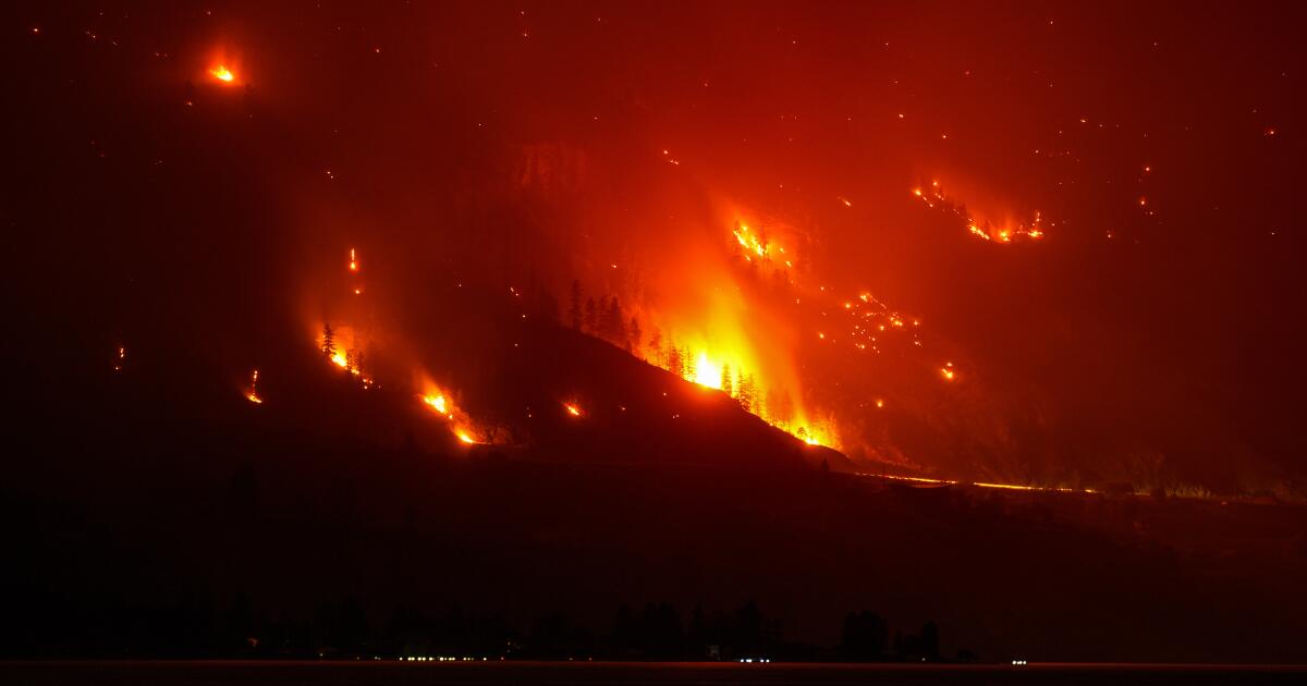 Photo: Los Angeles Times The Bald Range wildfire, that has forced people out of their homes in the south Okanagan region, burns in Summerland, B.C