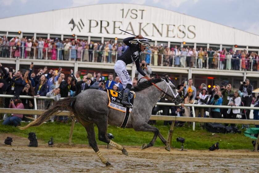 Jaime Torres, atop Seize The Grey, celebrates after crossing the finish line to win the Preakness Stakes 