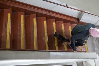 Marianne Viviano, 60, walks with her dog "Peter Chocolate," down the steps inside the SRO "Madison Hotel" in Los Angeles