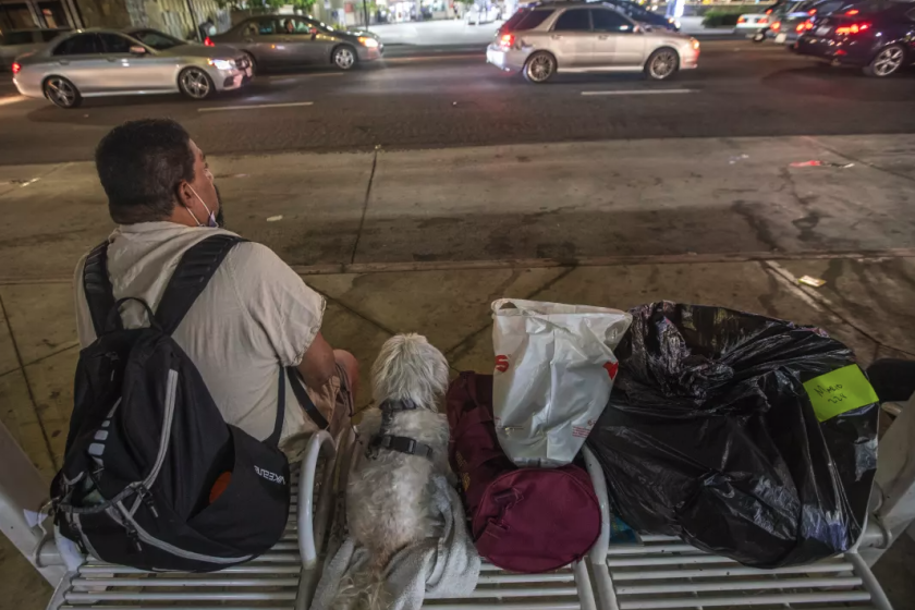 Un hombre se sienta con su perro 