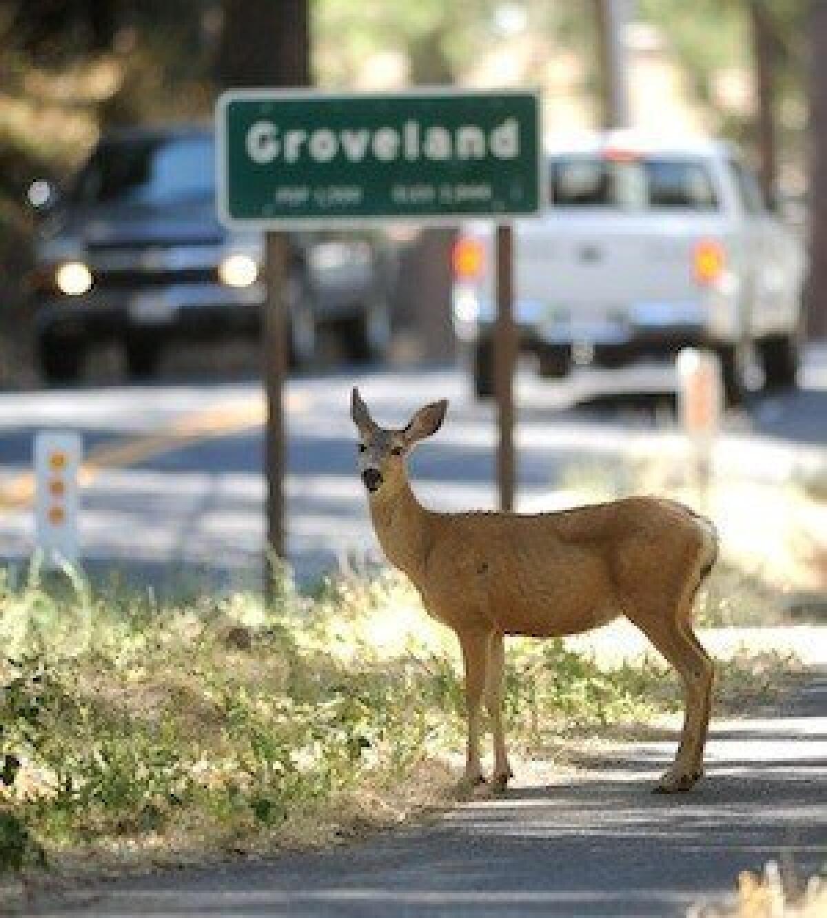 Park officials Friday announced the reopening of the entrance to Yosemite National Park from Groveland, Calif., along Big Oak Flat Road, also known as California 120.