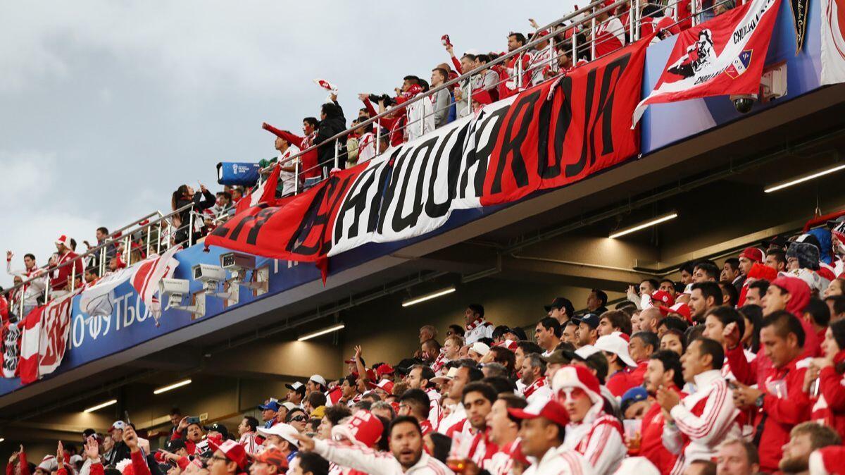 Peru fans show their support during the World Cup Group C match between France and Peru on June 21.
