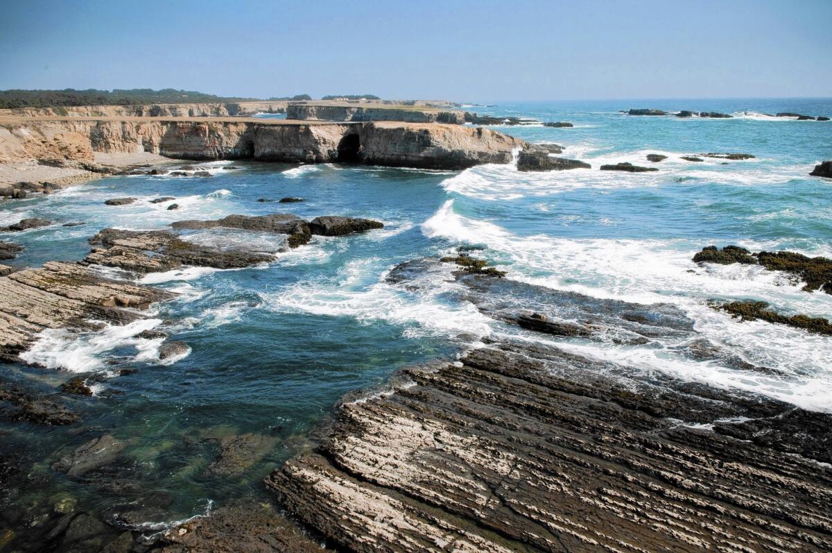 The Stornetta Public Lands are along the Mendocino County coastline just north of the town of Point Arena.