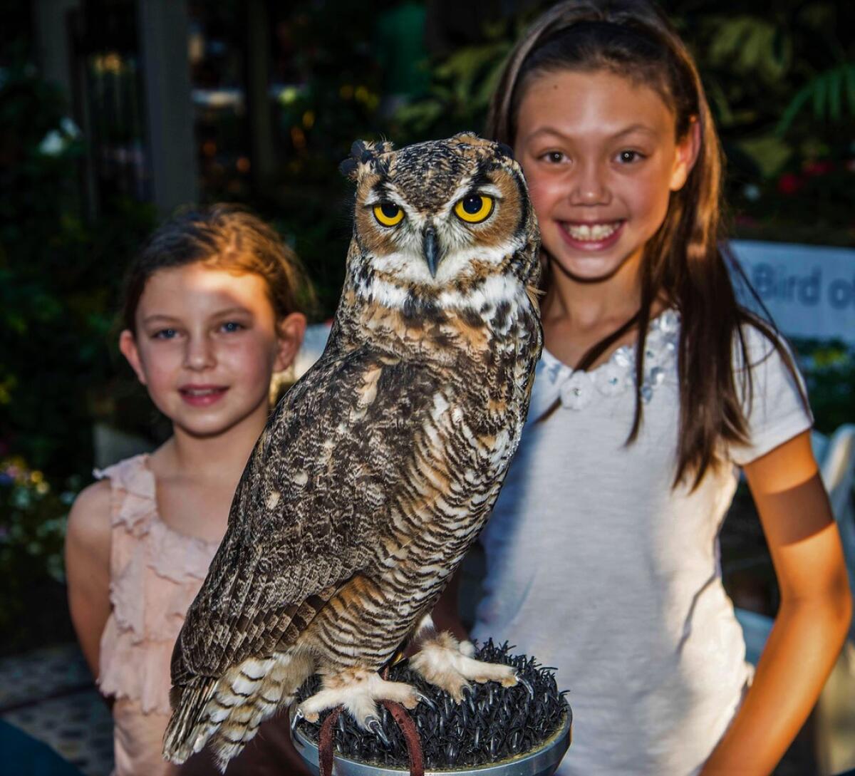 Sherman Gardens gives visitors a look at nocturnal animals during "Creatures of the Night" Feb. 24 and 25, from 5 to 7 p.m.