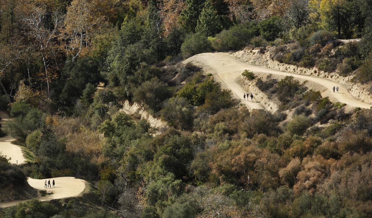 Hikers make their way along trails in Griffith Park.