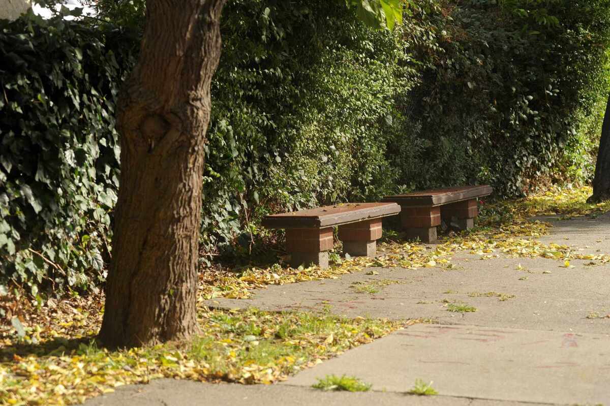 Two men were found guilty on all charges Thursday in the gang rape of a teenage girl outside a Richmond High School homecoming dance. The victim was found in this picnic area.