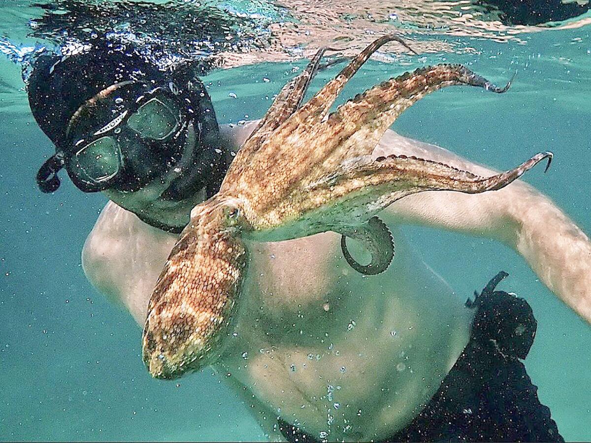 A man in a snorkeling mask swims underwater next to an octopus