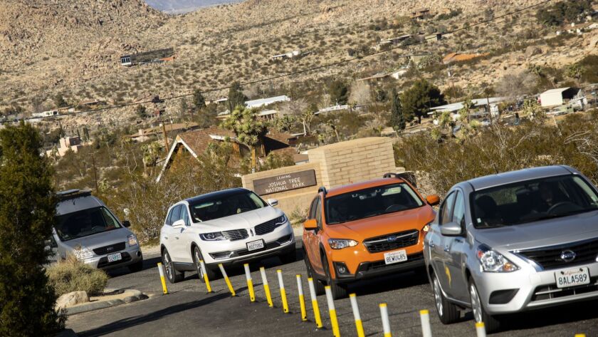 A line of cars streams into Joshua Tree National Park on Saturday despite the federal government's partial shutdown, meaning cars entered without visitors having to pay the usual $30 fee.
