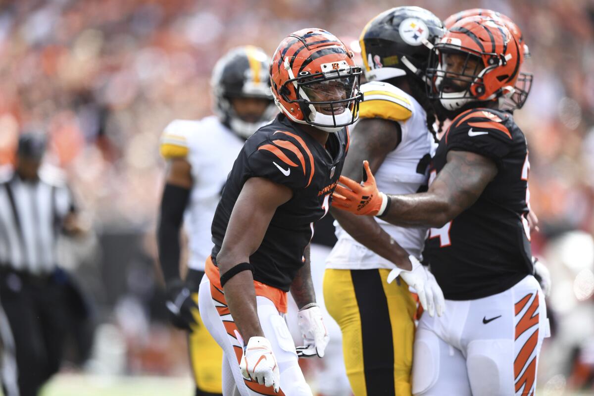 Cincinnati Bengals wide receiver Ja'Marr Chase celebrates after carrying the ball.