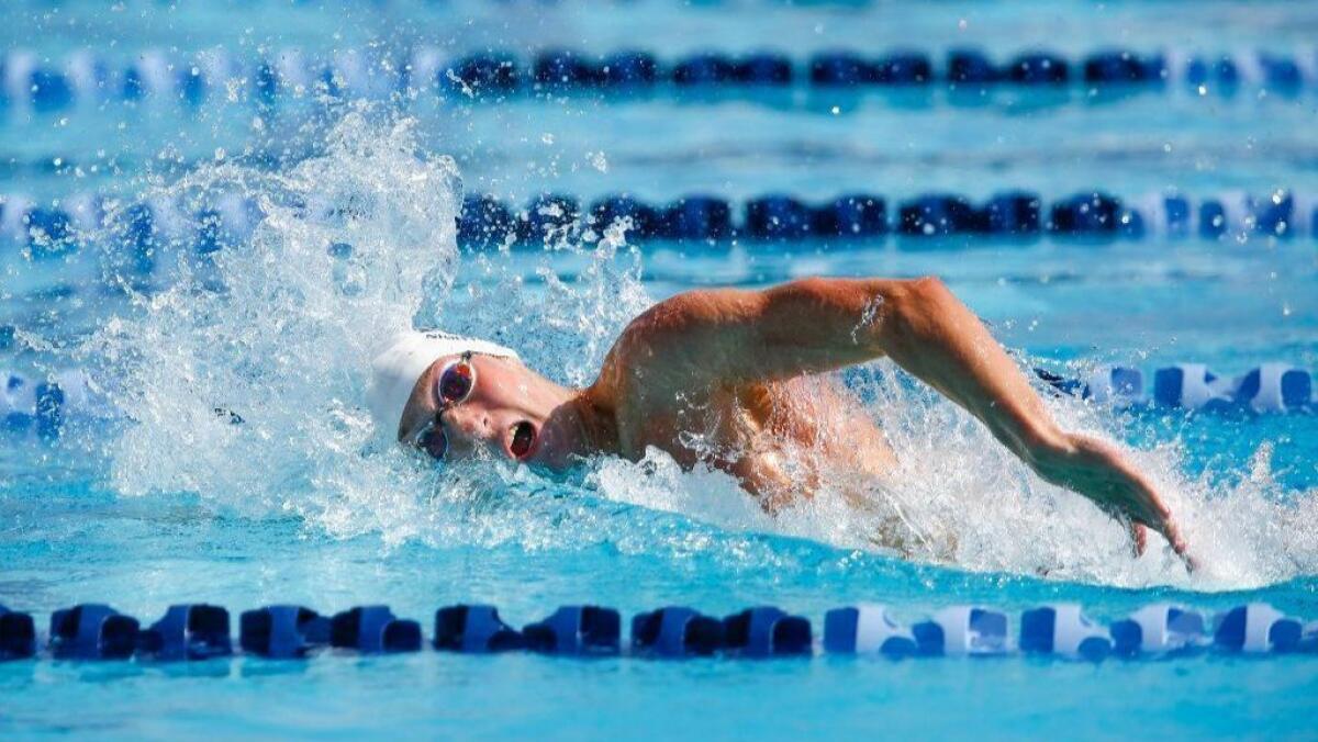 Del Norte's Jacob Sauter swims the 200 yard freestyle during Division 2 Prelims.