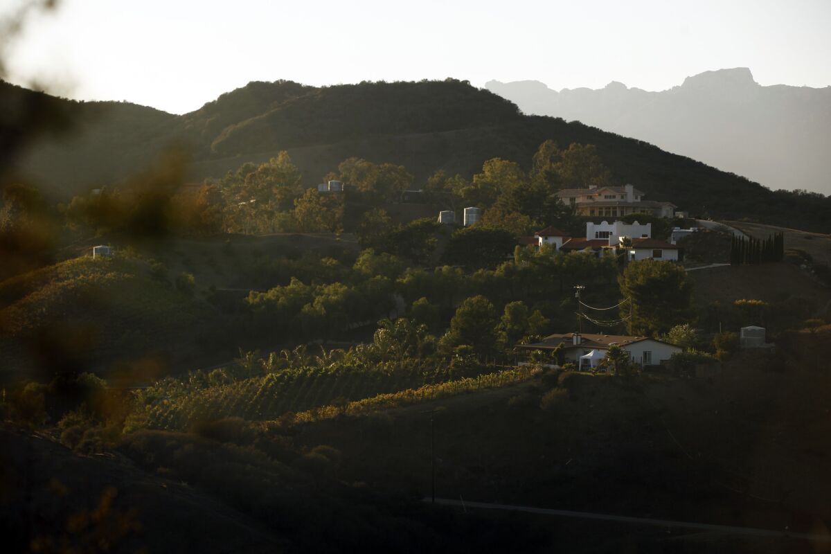 Vineyards can be seen in Malibu at the crest of the Santa Monica Mountains. L.A. County supervisors voted Tuesday to approve a plan that will allow the continued creation of new vineyards in the northern portion of the mountains with stricter regulations.