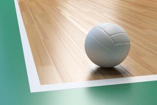 Volleyball on court